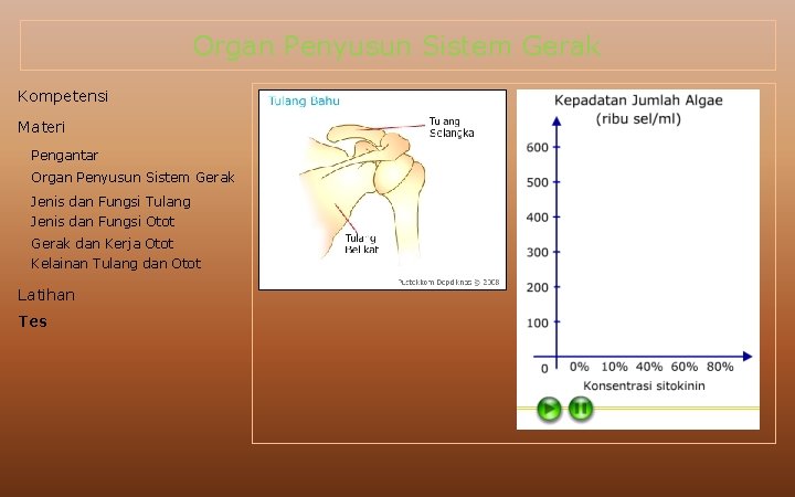 Organ Penyusun Sistem Gerak Kompetensi Materi Pengantar Organ Penyusun Sistem Gerak Jenis dan Fungsi