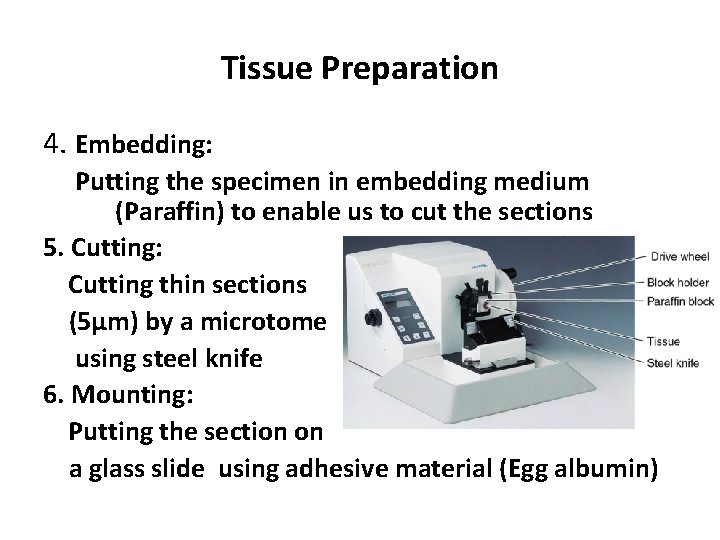Tissue Preparation 4. Embedding: Putting the specimen in embedding medium (Paraffin) to enable us