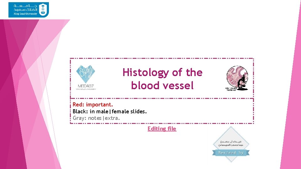 Histology of the blood vessel Red: important. Black: in male|female slides. Gray: notes|extra. Editing