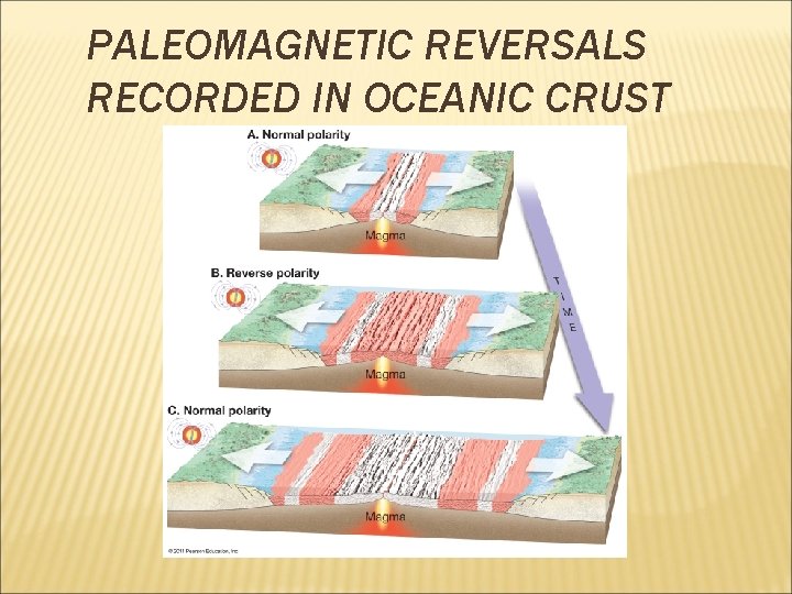 PALEOMAGNETIC REVERSALS RECORDED IN OCEANIC CRUST 