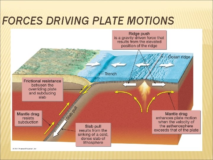 FORCES DRIVING PLATE MOTIONS 