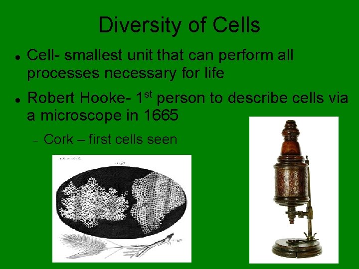 Diversity of Cells Cell- smallest unit that can perform all processes necessary for life