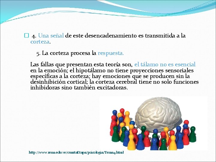 � 4. Una señal de este desencadenamiento es transmitida a la corteza. 5. La � 4. Una señal de este desencadenamiento es transmitida a la corteza. 5. La