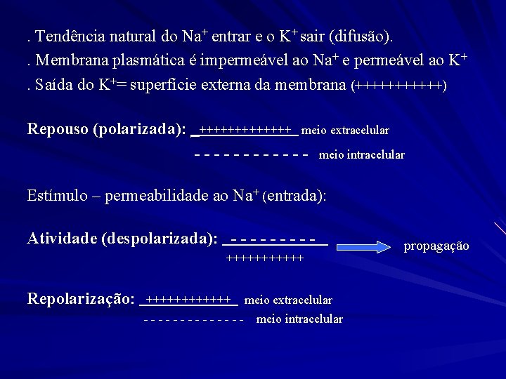 . Tendência natural do Na+ entrar e o K+ sair (difusão). . Membrana plasmática
