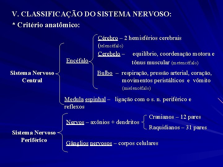 V. CLASSIFICAÇÃO DO SISTEMA NERVOSO: * Critério anatômico: Encéfalo Sistema Nervoso Central Cérebro –