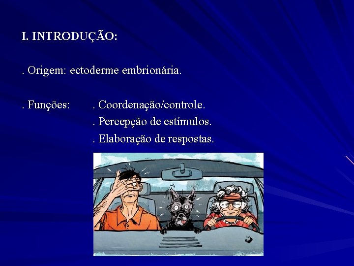 I. INTRODUÇÃO: . Origem: ectoderme embrionária. . Funções: . Coordenação/controle. . Percepção de estímulos.