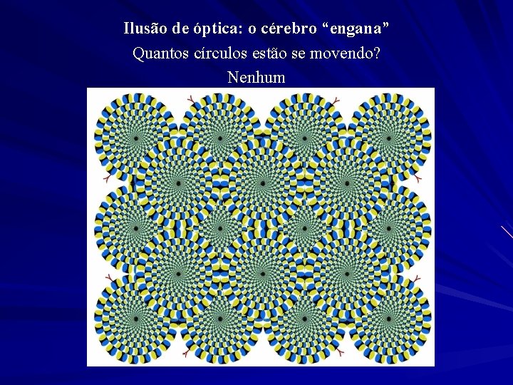 Ilusão de óptica: o cérebro “engana” Quantos círculos estão se movendo? Nenhum 