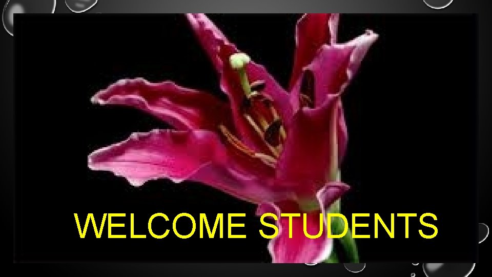 WELCOME STUDENTS 
