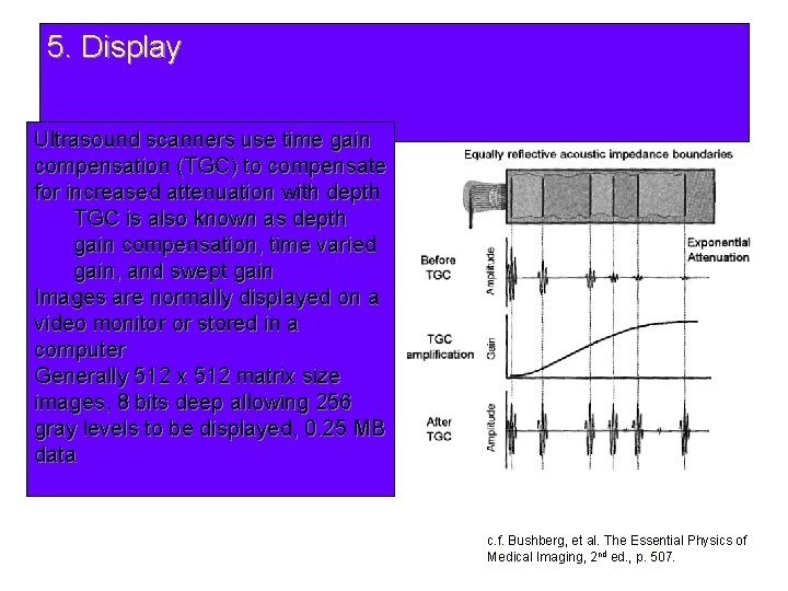 5. Display Ultrasound scanners use time gain compensation (TGC) to compensate for increased attenuation