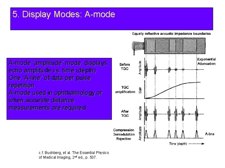 5. Display Modes: A-mode “amplitude” mode: displays echo amplitude vs. time (depth) One “A-line”