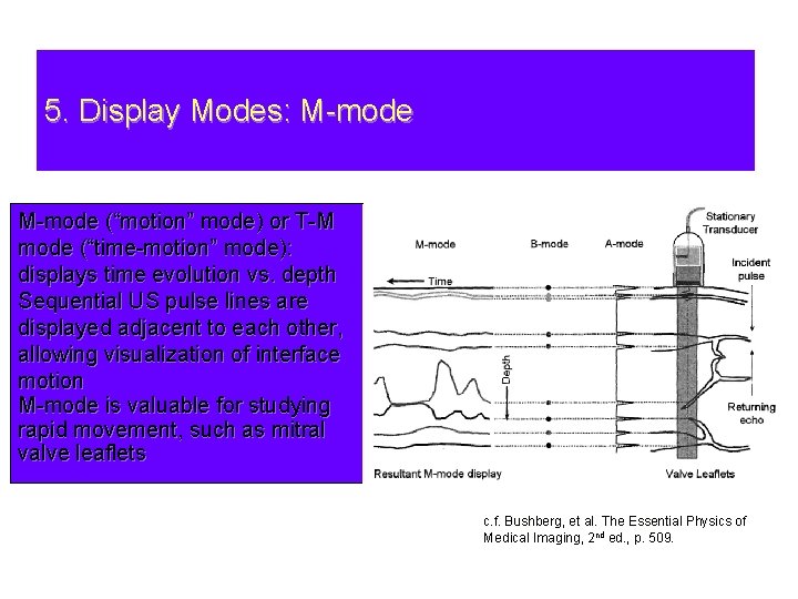 5. Display Modes: M-mode (“motion” mode) or T-M mode (“time-motion” mode): displays time evolution