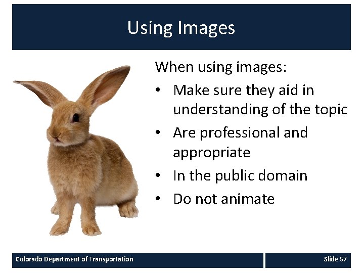 Using Images When using images: • Make sure they aid in understanding of the