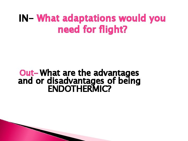 IN- What adaptations would you need for flight? Out- What are the advantages and