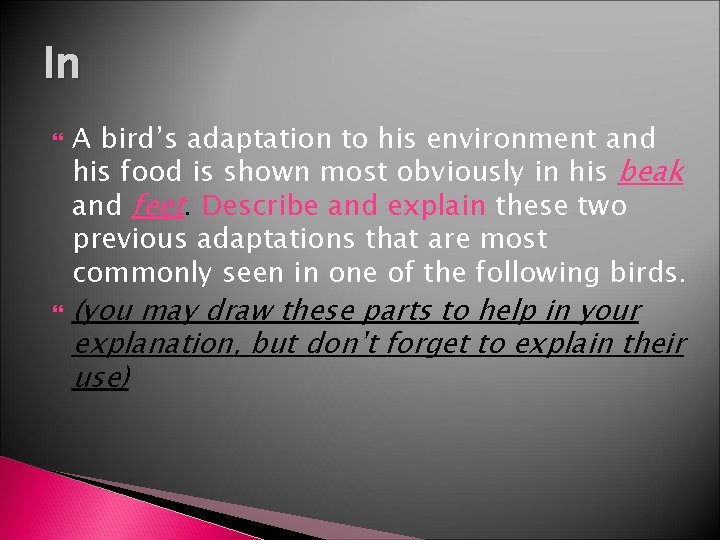 In A bird’s adaptation to his environment and his food is shown most obviously