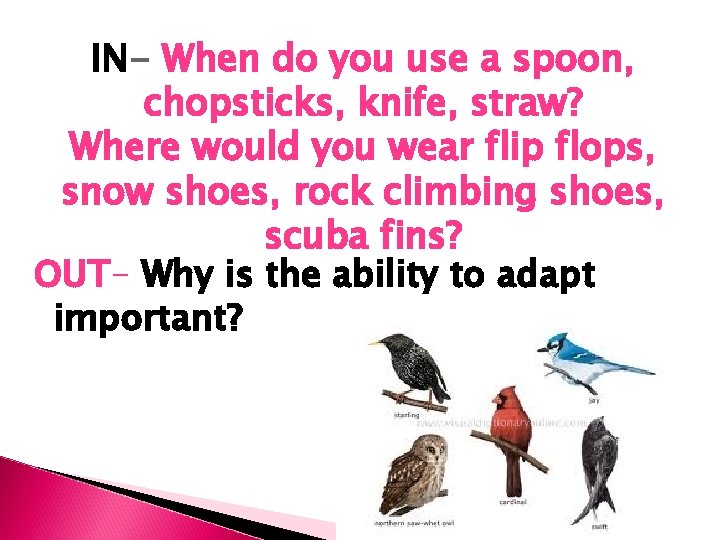 IN- When do you use a spoon, chopsticks, knife, straw? Where would you wear