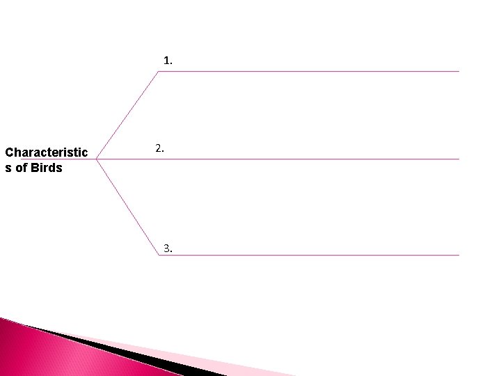 1. Characteristic s of Birds 2. 3. 