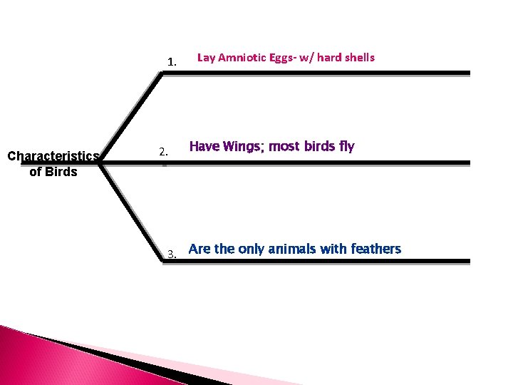 1. Characteristics of Birds 2. Lay Amniotic Eggs- w/ hard shells Have Wings; most