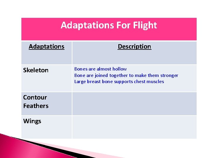Adaptations For Flight Adaptations Skeleton Contour Feathers Wings Description Bones are almost hollow Bone