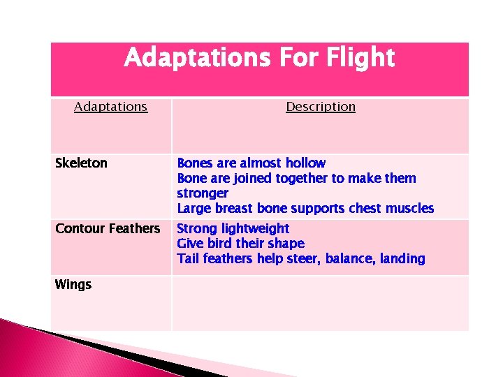 Adaptations For Flight Adaptations Description Skeleton Bones are almost hollow Bone are joined together