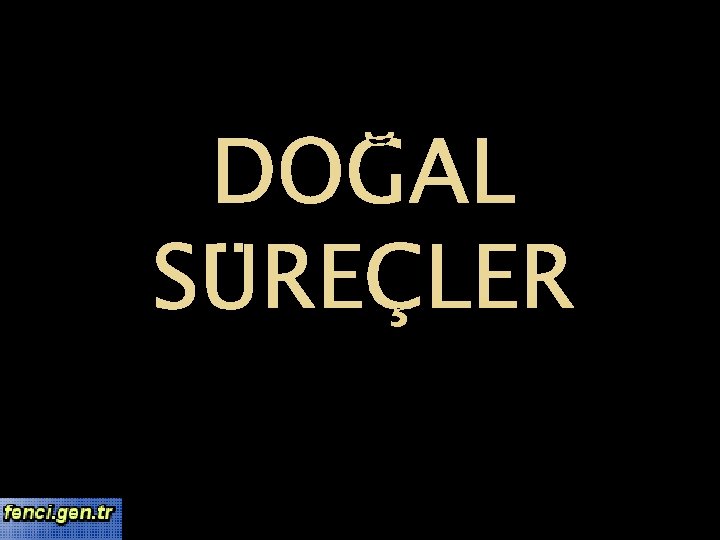 DOĞAL SÜREÇLER 