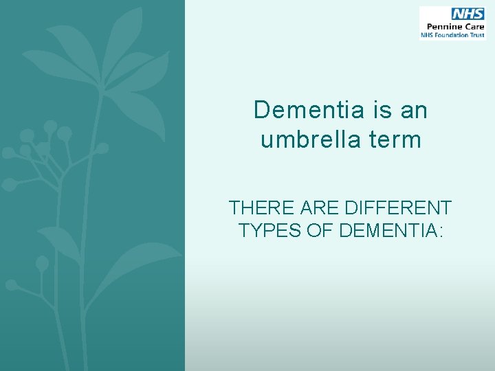 Dementia is an umbrella term THERE ARE DIFFERENT TYPES OF DEMENTIA: 