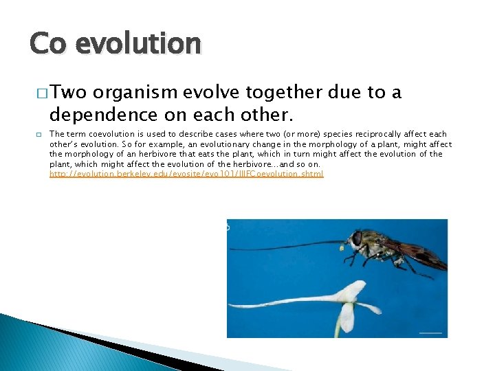 Co evolution � Two organism evolve together due to a dependence on each other.
