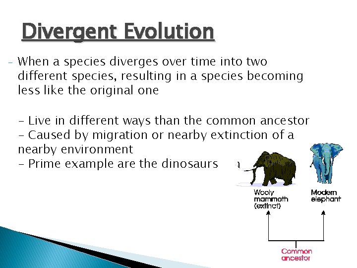 Divergent Evolution - When a species diverges over time into two different species, resulting