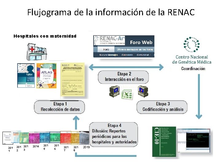 Flujograma de la información de la RENAC Hospitales con maternidad 201 1 201 3