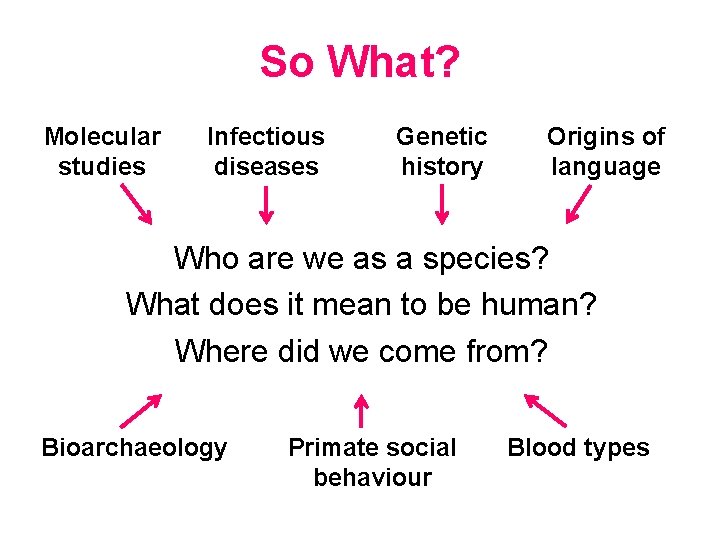 So What? Molecular studies Infectious diseases Genetic history Origins of language Who are we