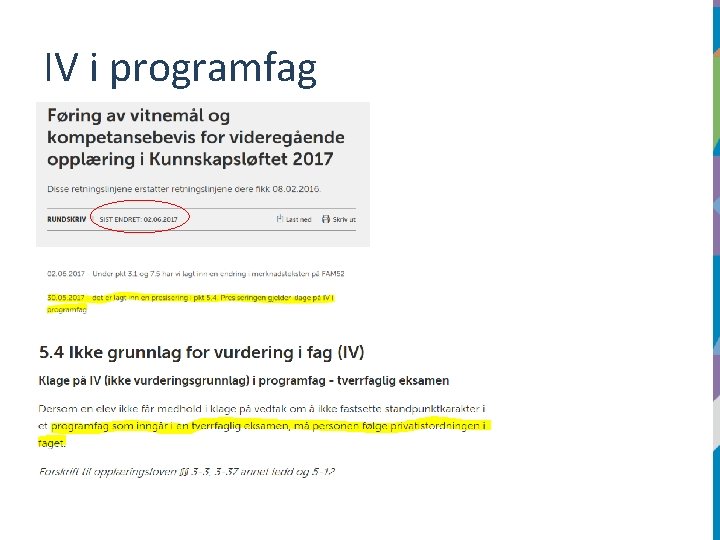 IV i programfag 