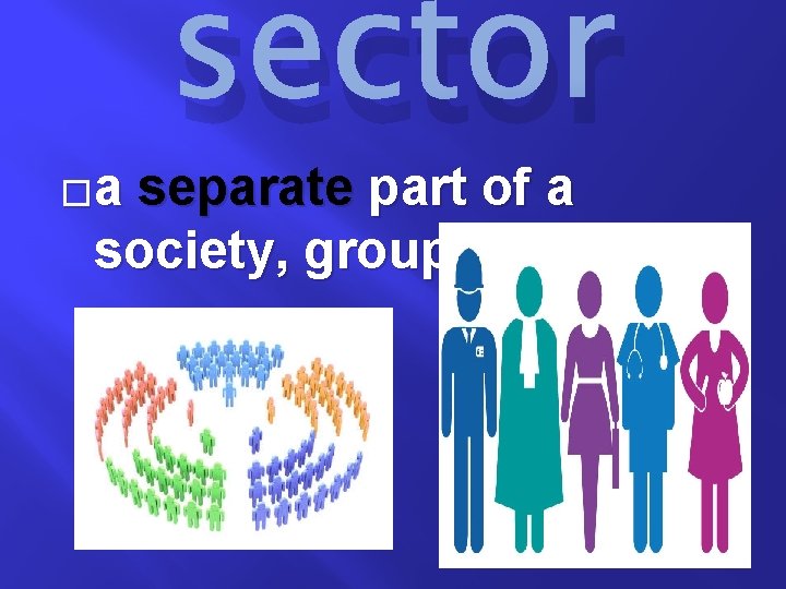 �a sector separate part of a society, group, or area 