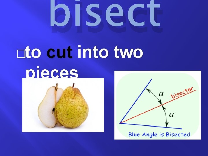 �to bisect cut into two pieces 