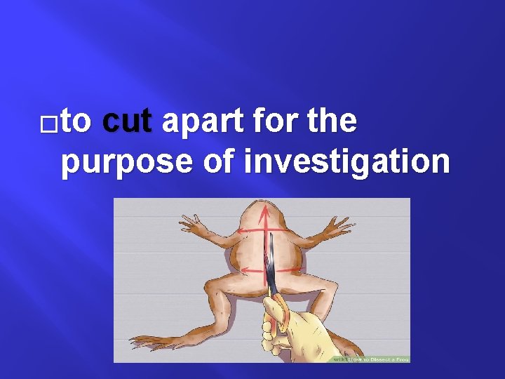 �to cut apart for the purpose of investigation 