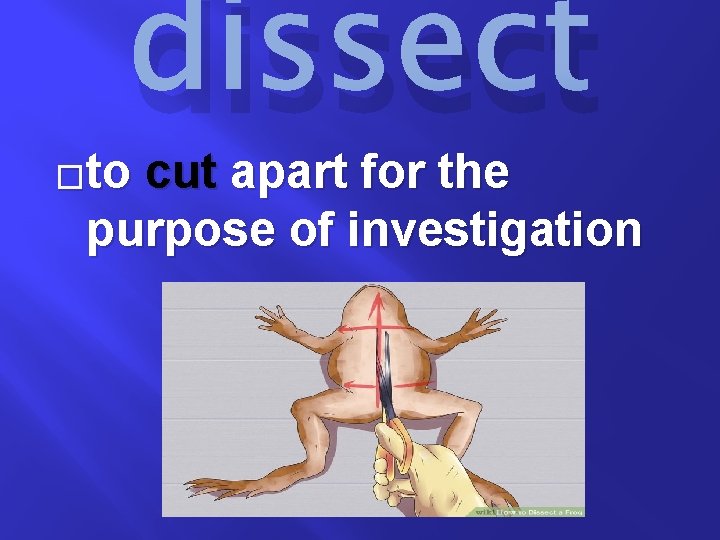 �to dissect cut apart for the purpose of investigation 