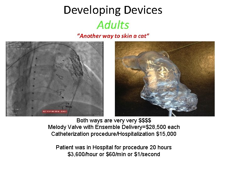 Developing Devices Adults ”Another way to skin a cat” Both ways are very $$$$