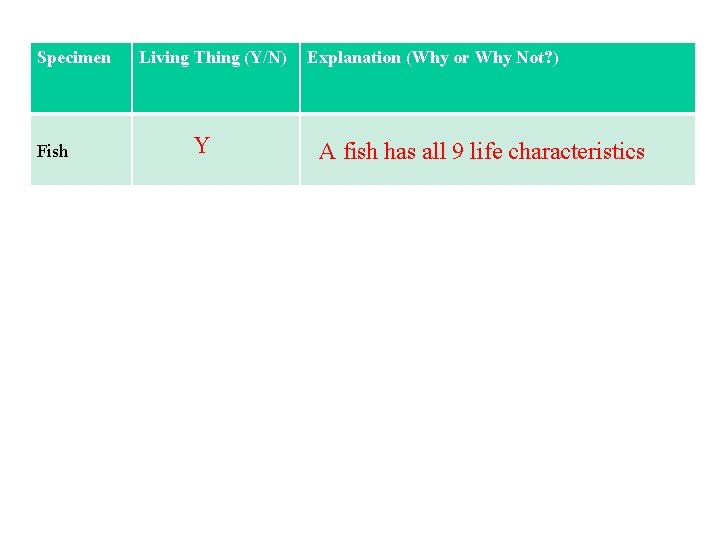 Specimen Fish Living Thing (Y/N) Y Explanation (Why or Why Not? ) A fish
