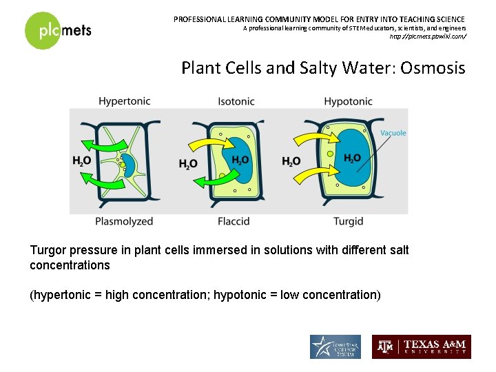 PROFESSIONAL LEARNING COMMUNITY MODEL FOR ENTRY INTO TEACHING SCIENCE A professional learning community of