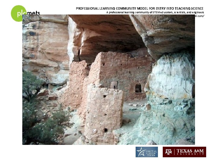 PROFESSIONAL LEARNING COMMUNITY MODEL FOR ENTRY INTO TEACHING SCIENCE A professional learning community of