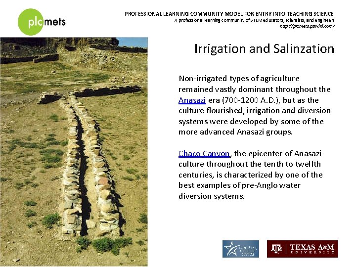 PROFESSIONAL LEARNING COMMUNITY MODEL FOR ENTRY INTO TEACHING SCIENCE A professional learning community of