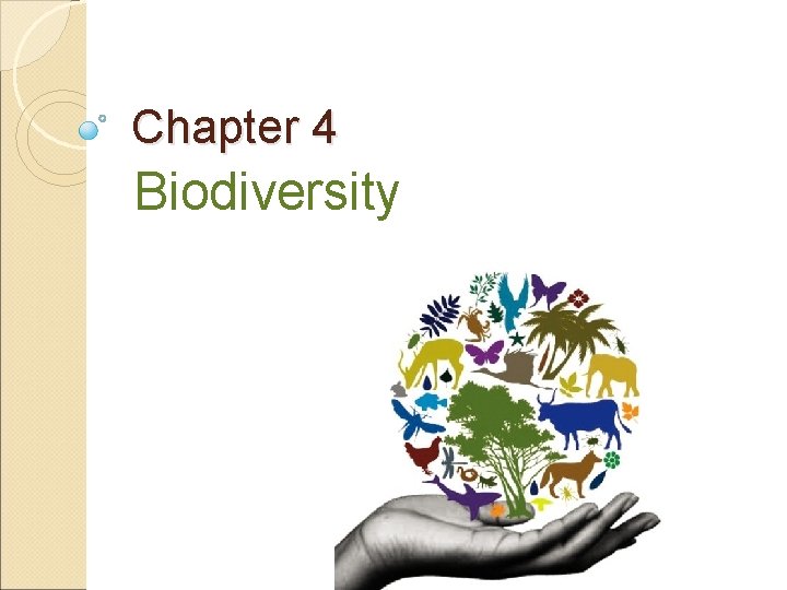 Chapter 4 Biodiversity 