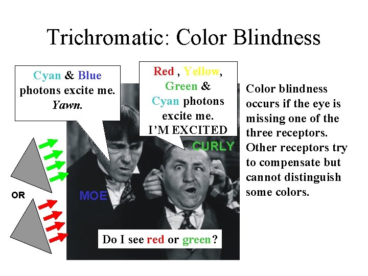 Trichromatic: Color Blindness Cyan & Blue photons excite me. Yawn. OR Red , Yellow,