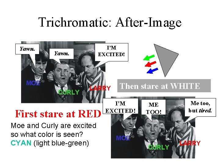 Trichromatic: After-Image Yawn. I’M EXCITED! Yawn. MOE CURLY LARRY First stare at RED Moe