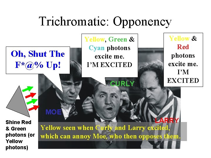 Trichromatic: Opponency Oh, Shut The F*@% Up! Yellow, Green & Cyan photons excite me.