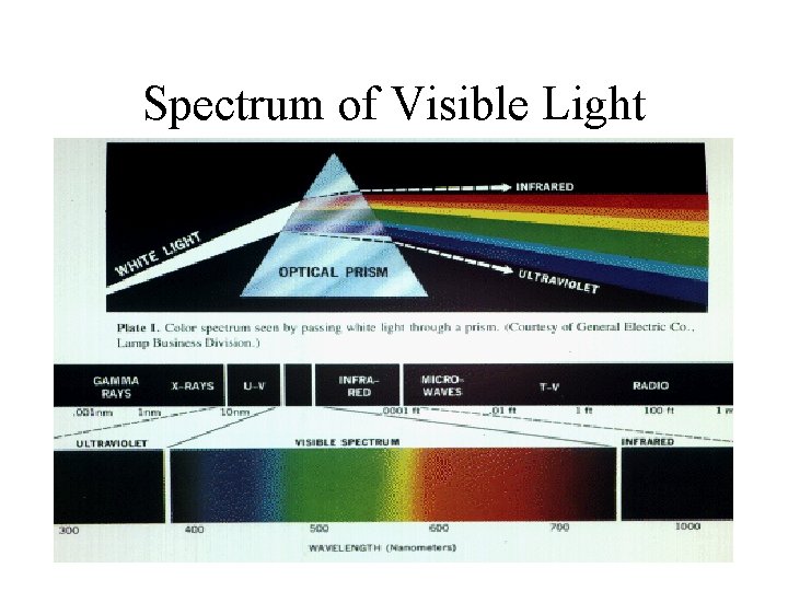 Spectrum of Visible Light 