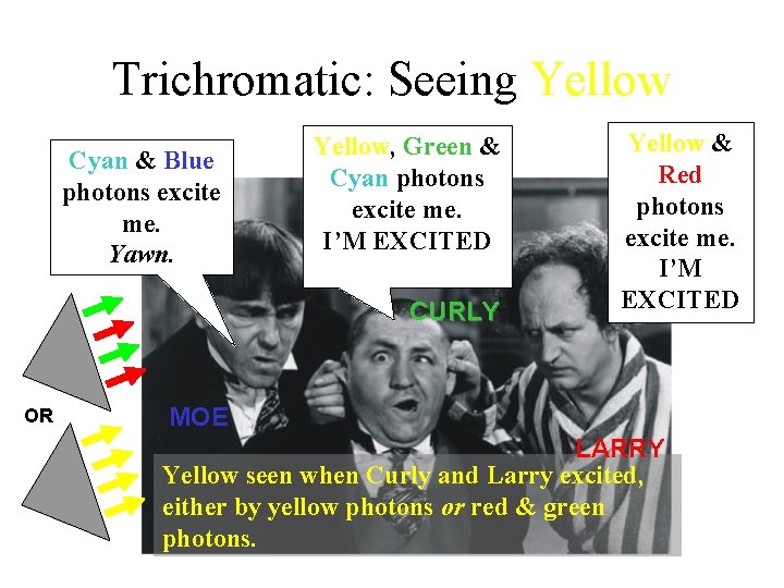 Trichromatic: Seeing Yellow Cyan & Blue photons excite me. Yawn. Yellow, Green & Cyan