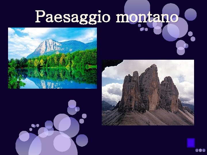 Paesaggio montano 