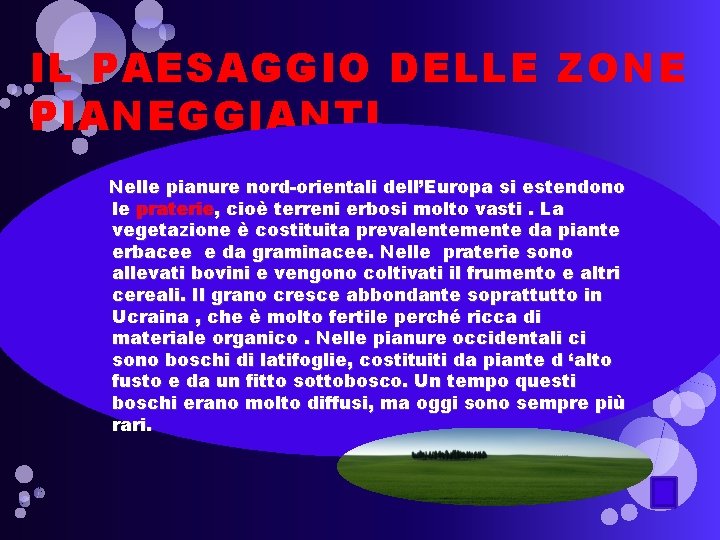 IL PAESAGGIO DELLE ZONE PIANEGGIANTI Nelle pianure nord-orientali dell’Europa si estendono le praterie, cioè