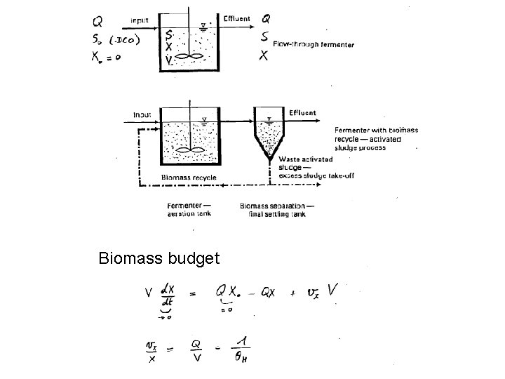 Biomass budget 