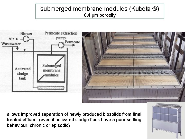 submerged membrane modules (Kubota ®) 0. 4 µm porosity allows improved separation of newly