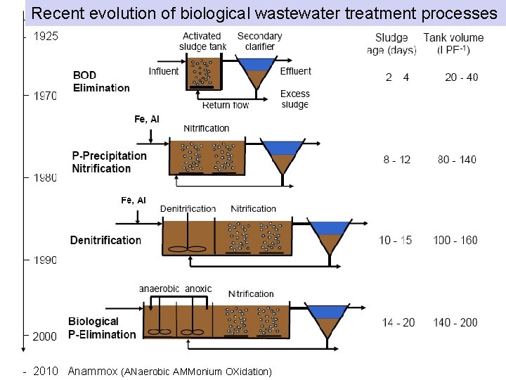 Recent evolution of biological wastewater treatment processes - 1925 - 2010 Anammox (ANaerobic AMMonium